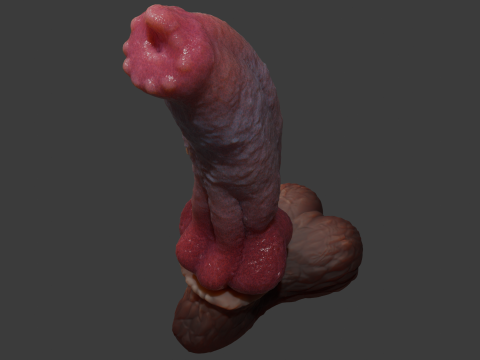 Long Dog Penis Sextoy Rigged 3D 모델