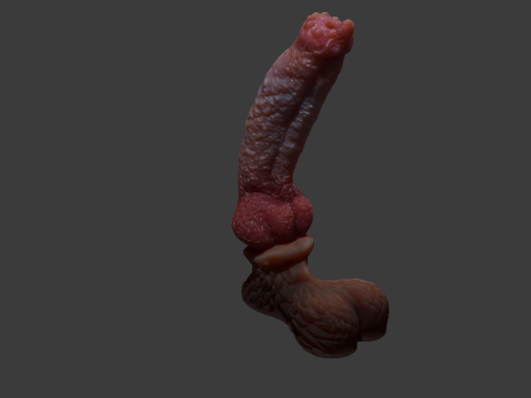 Long Dog Penis Sextoy Rigged 3D 모델