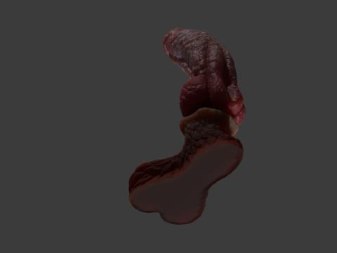 Long Dog Penis Sextoy Rigged 3D 모델