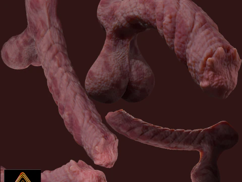 Brinquedo sexual de p&ecirc;nis demon&iacute;aco Kuragoth equipado Modelo 3D