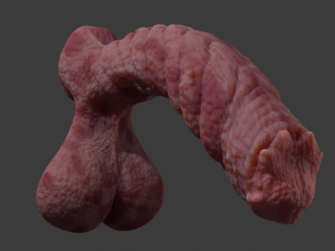 Kuragoth Demon Penis Sextoy Rigged 3D Model