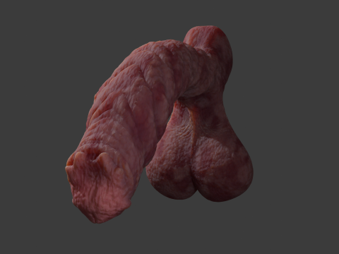 Kuragoth Demon Penis Sextoy Rigged 3D Model
