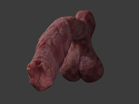 Kuragoth Demon Penis Sextoy Rigged 3D Model