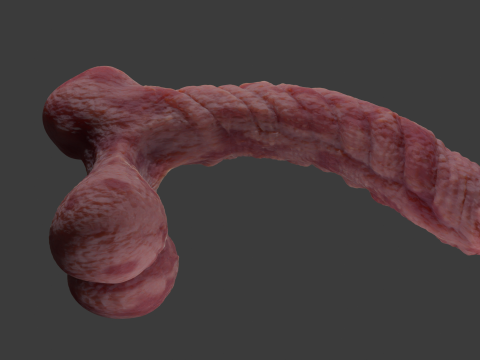 Kuragoth Demon Penis Sextoy Rigged 3D Model