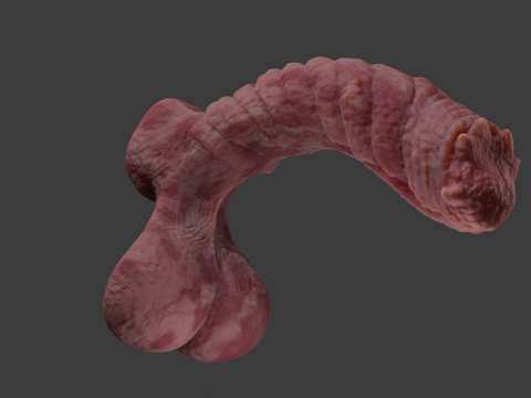 Kuragoth Demon Penis Sextoy Rigged 3D Model