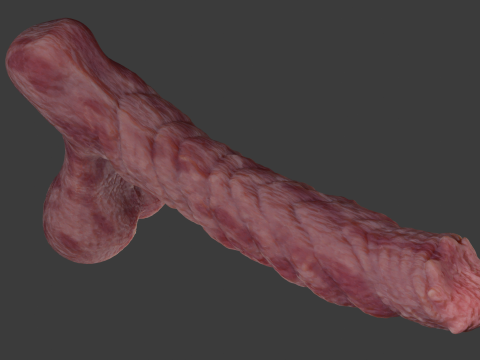 Kuragoth Demon Penis Sextoy Rigged 3D Model