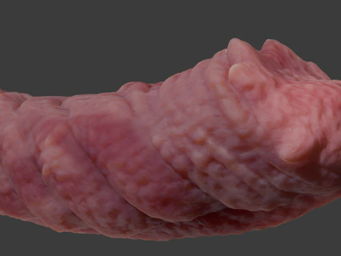 Kuragoth Demon Penis Sextoy Rigged 3D Model