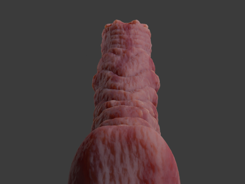 Kuragoth Demon Penis Sextoy Rigged 3D Model