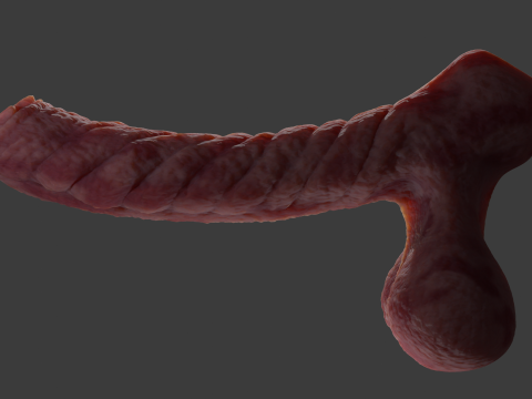 Kuragoth Demon Penis Sextoy Rigged 3D Model
