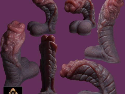 Fantasy Sevanor Dragon Penis Sextoy Rigged 3D Model