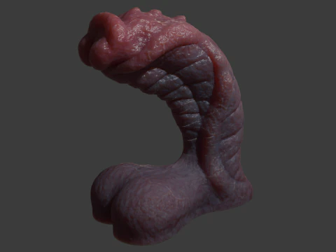 Fantasy Sevanor Dragon Penis Sextoy Rigged 3D Model