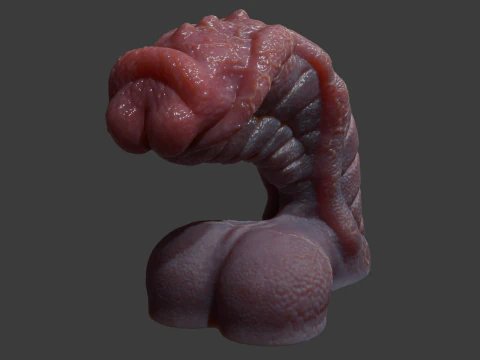 Fantasy Sevanor Dragon Penis Sextoy Rigged 3D Model