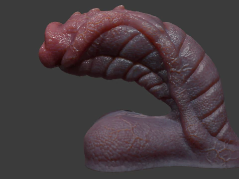 Fantasy Sevanor Dragon Penis Sextoy Rigged 3D Model
