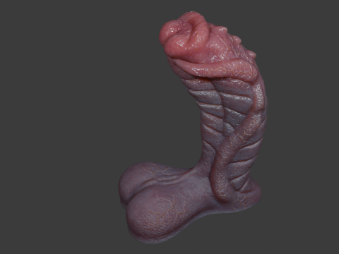 Fantasy Sevanor Dragon Penis Sextoy Rigged 3D 模型