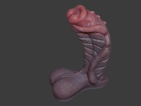 Fantasy Sevanor Dragon Penis Sextoy Rigged 3D Model