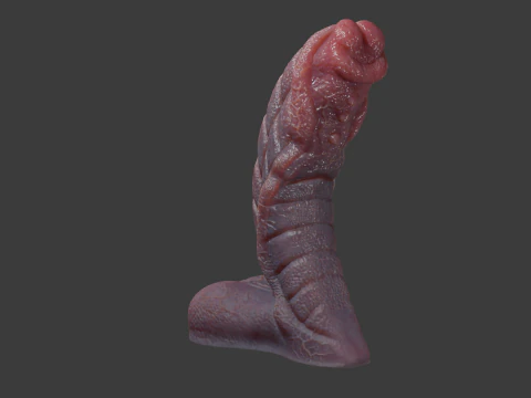 Fantasy Sevanor Dragon Penis Sextoy Rigged 3D Model