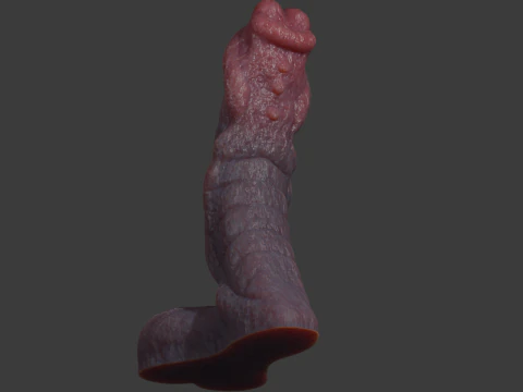 Fantasy Sevanor Dragon Penis Sextoy Rigged 3D Model