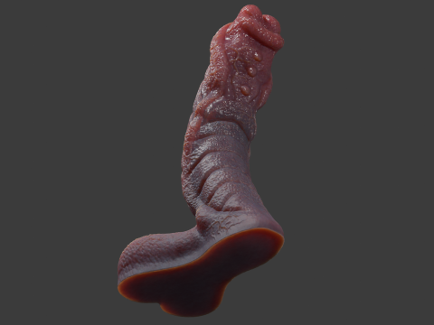Fantasy Sevanor Dragon Penis Sextoy Rigged 3D 模型