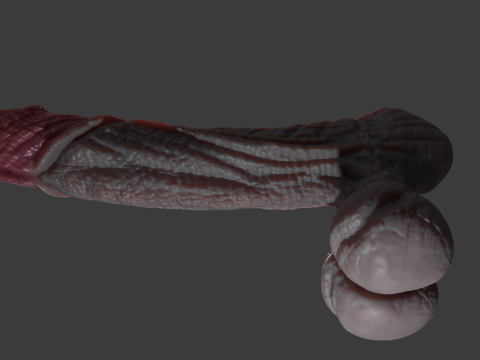 Fantasy Borthor Dragon Penis Sextoy Rigged 3Dモデル