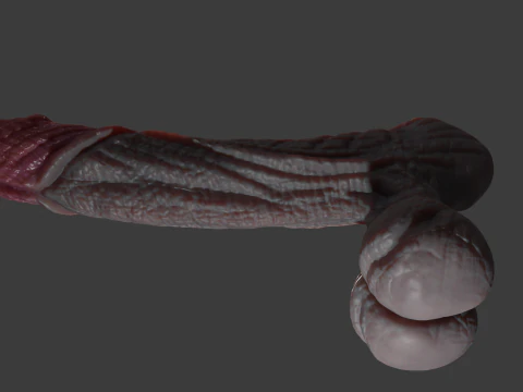 Fantasy Borthor Dragon Penis Sextoy Rigged 3D Model