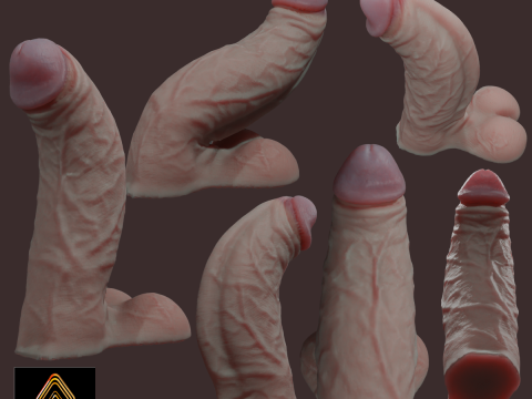 Fat Penis Rigged Lowpoly and Highpoly 3Dモデル