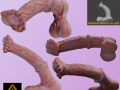 Albino Horse Penis Sextoy Rigged 3D Модель