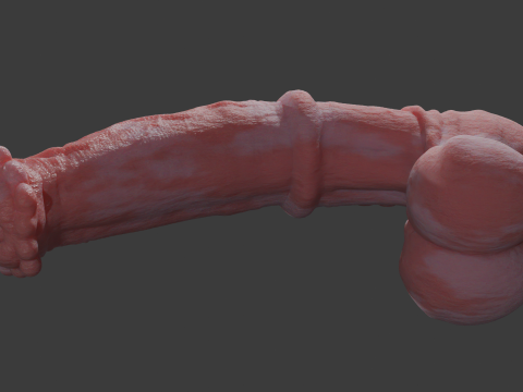 Albino Horse Penis Sextoy Rigged 3D Model