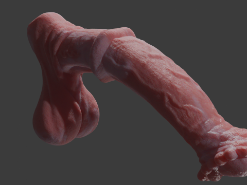 Albino Horse Penis Sextoy Rigged 3D Model