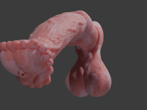 Albino Horse Penis Sextoy Rigged 3D Model