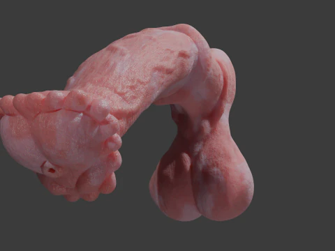 Albino Horse Penis Sextoy Rigged 3D Model