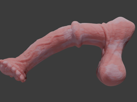Albino Horse Penis Sextoy Rigged 3D Model