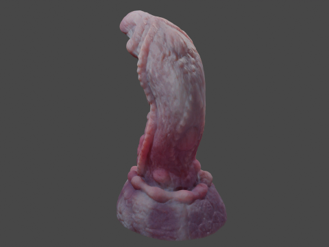 Fantasy Noellztrux Dragon Penis Sextoy Rigged Modelo 3D