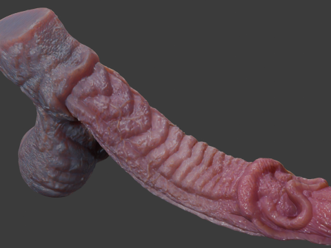 Birmal Monster Penis Sextoy Lowpoly 3D Model