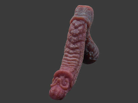 Birmal Monster Penis Sextoy Lowpoly 3D Model