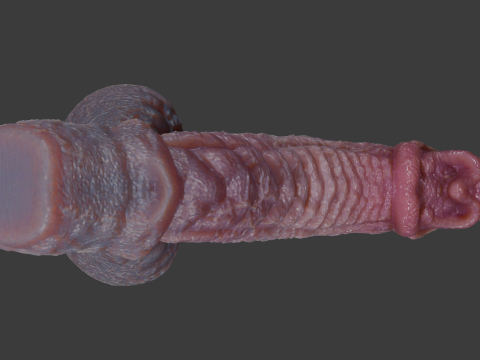 Birmal Monster Penis Sextoy Lowpoly 3D Model
