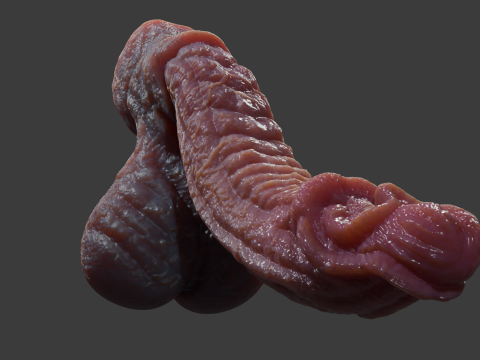 Birmal Monster Penis Sextoy Lowpoly 3D Model