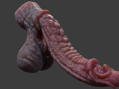 Birmal Monster Penis Sextoy Lowpoly 3D Model