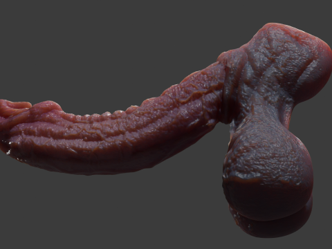 Birmal Monster Penis Sextoy Lowpoly 3D Model