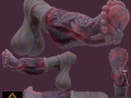 Fantasy Dragon Horse Monster Penis Rigged 3D Модель