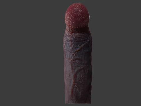 Mayram Monster Penis Rigged 3D Model