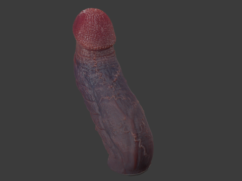Mayram Monster Penis Rigged 3D Модель