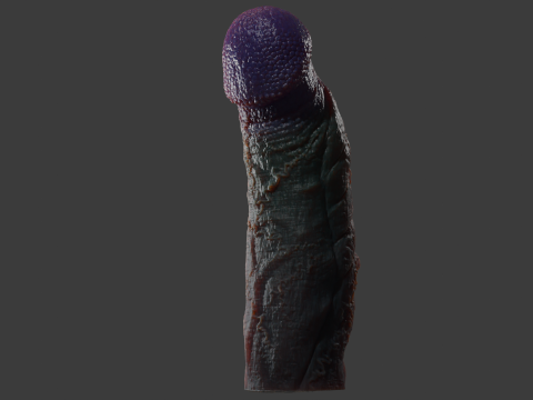 Mayram Monster Penis Rigged 3D Модель