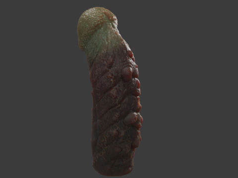 Mayram Monster Penis Rigged 3D Model