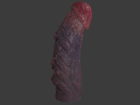 Mayram Monster Penis Rigged 3D Модель