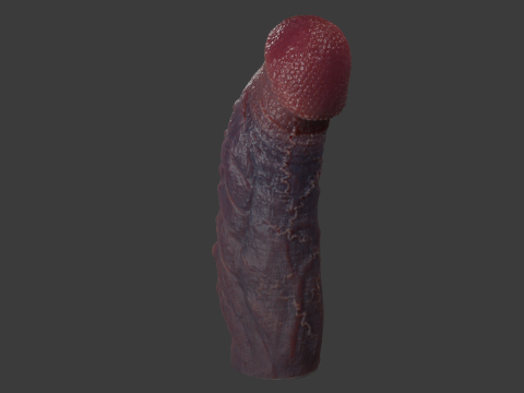 Mayram Monster Penis Rigged 3D Модель