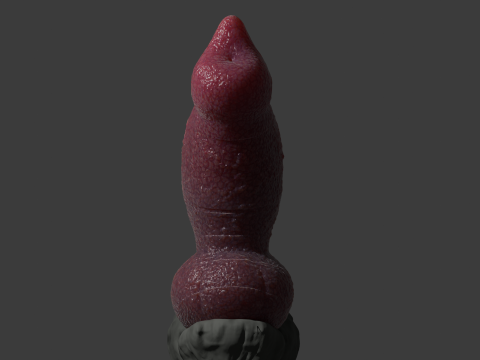 Jason Dog Penis Sextoy Rigged 3D Model