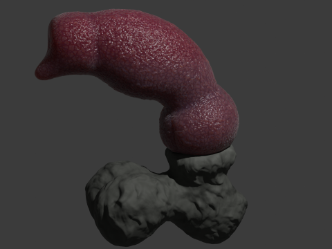 Jason Dog Penis Sextoy Rigged 3D Model