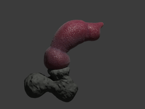 Jason Dog Penis Sextoy Rigged 3D Model