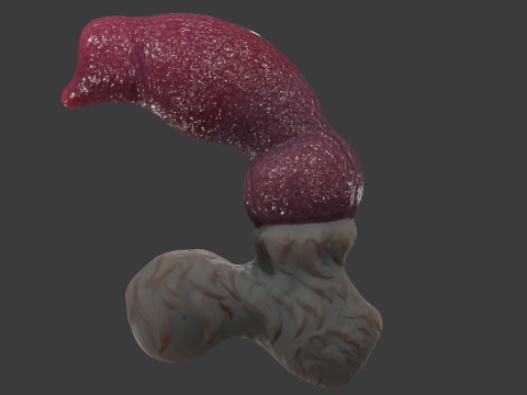 Jason Dog Penis Sextoy Rigged 3D Model