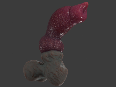 Jason Dog Penis Sextoy Rigged 3D Model